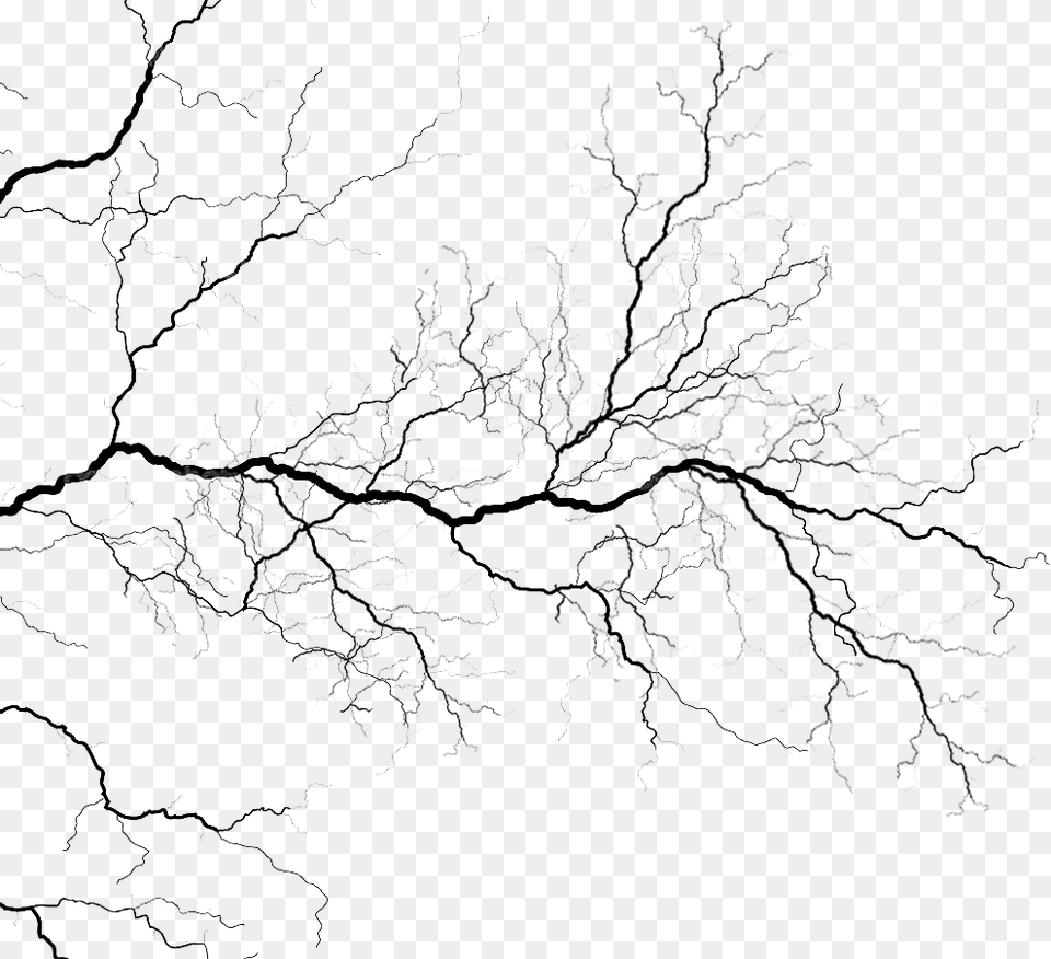 Veins Veins, Gray Png