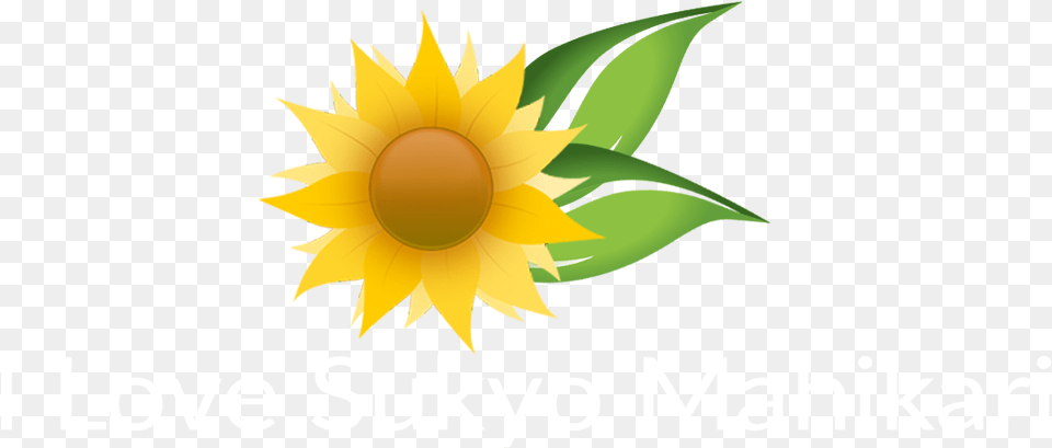Veja A Ntegra Do Requerimento De Aplauso, Flower, Plant, Sunflower Free Png