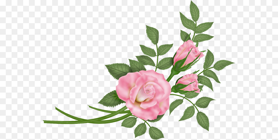 Vektor Bunga Hd, Flower, Flower Arrangement, Flower Bouquet, Plant Png Image