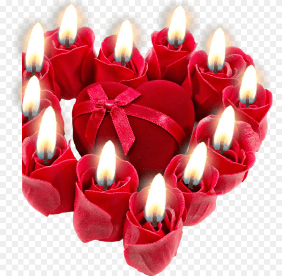 Vela Sticker Advent Candle, Flower, Plant, Fire, Flame Png