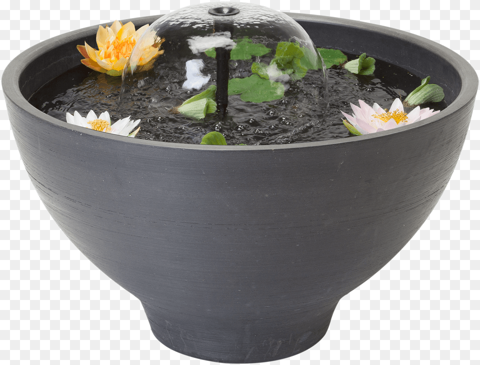 Velda Fountain Pond Round Small, Plant, Potted Plant, Pottery, Flower Png Image