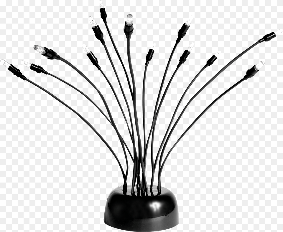 Velda Vijververlichting, Lamp, Plant, Electrical Device, Microphone Png