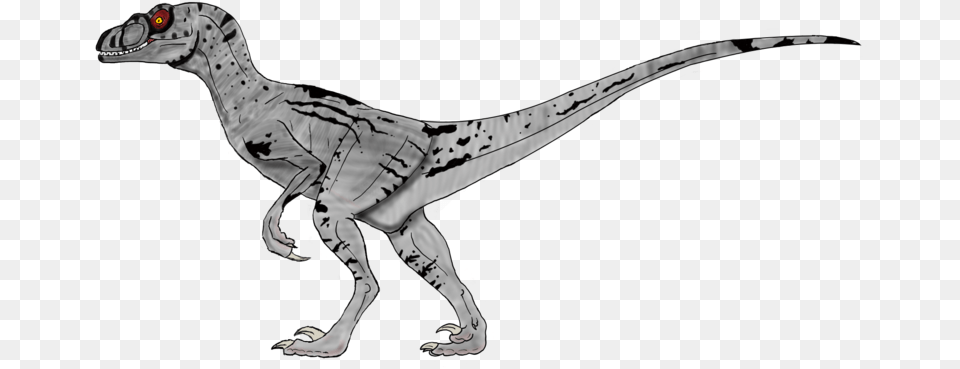 Velociraptor, Animal, Dinosaur, Reptile, T-rex Free Png Download