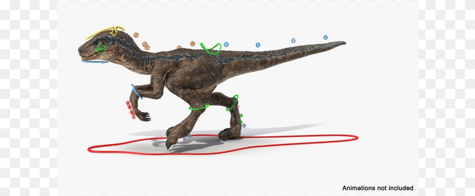 Velociraptor, Animal, Dinosaur, Reptile, T-rex Png