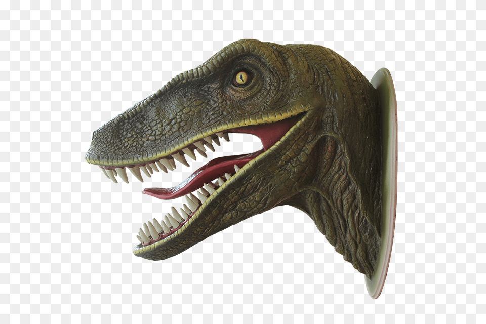 Velociraptor, Animal, Dinosaur, Reptile, T-rex Free Png