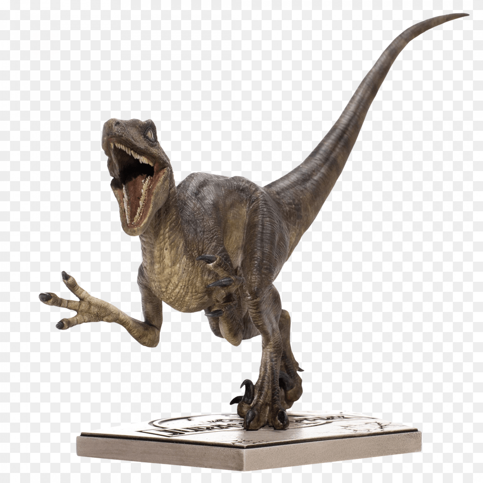 Velociraptor, Animal, Dinosaur, Reptile, T-rex Free Transparent Png