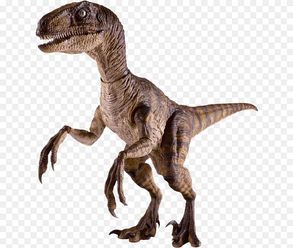 Velociraptor 16th Scale Action Figure Jurassic Park Velociraptor, Animal, Dinosaur, Reptile, T-rex Free Png
