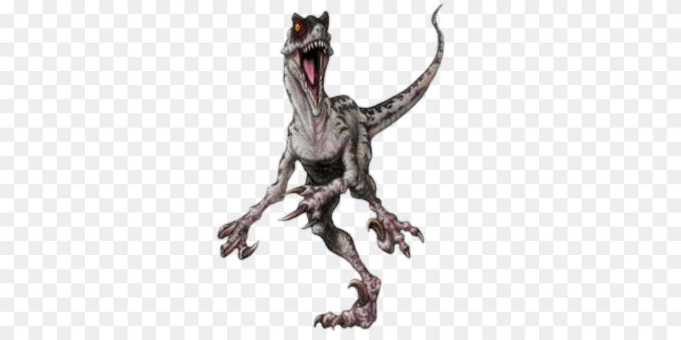 Velociraptor, Animal, Dinosaur, Reptile, T-rex Png