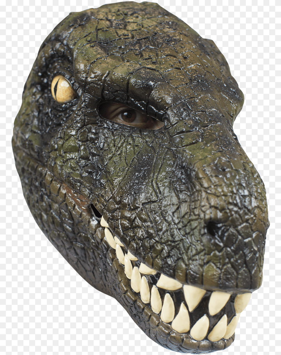 Velociraptor, Animal, Dinosaur, Reptile, T-rex Png Image