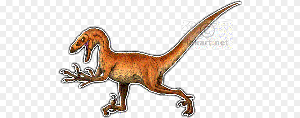 Velociraptor 2 Image Drawing, Animal, Dinosaur, Reptile, T-rex Free Transparent Png