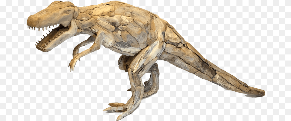 Velociraptor, Animal, Dinosaur, Reptile, T-rex Free Png