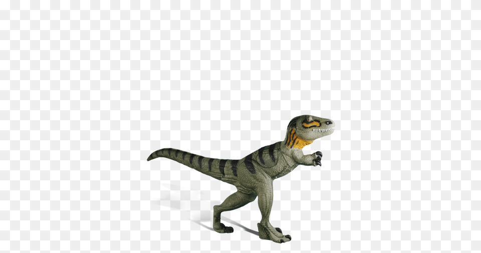 Velociraptor, Animal, Dinosaur, Reptile, T-rex Png Image