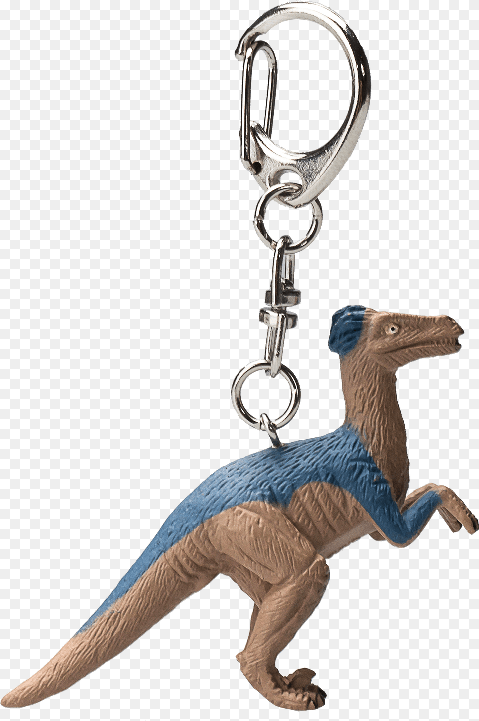 Velociraptor, Accessories, Animal, Bird Png Image