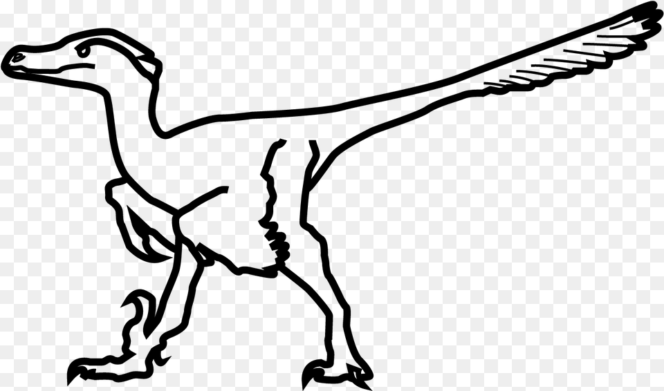 Velociraptor, Gray Png