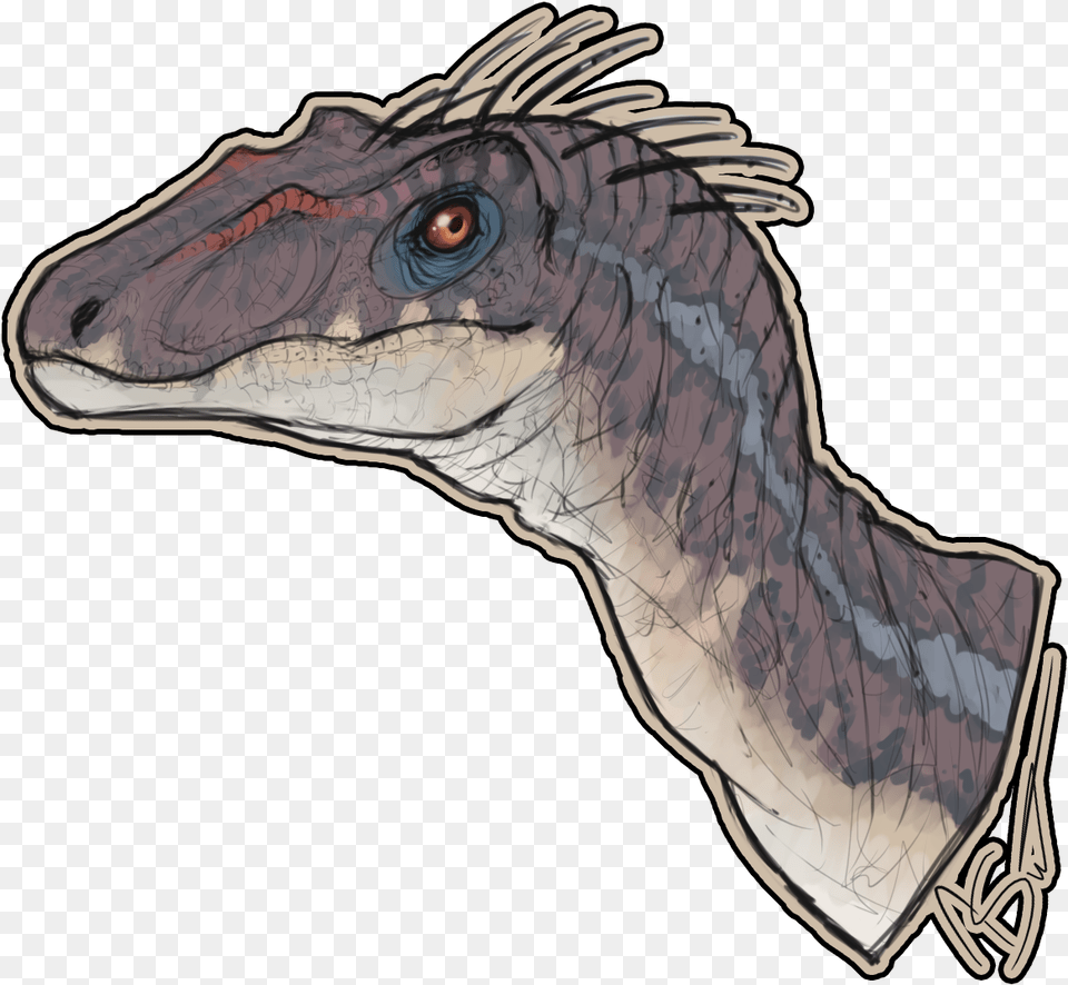 Velociraptor, Animal, Fish, Sea Life, Shark Free Png