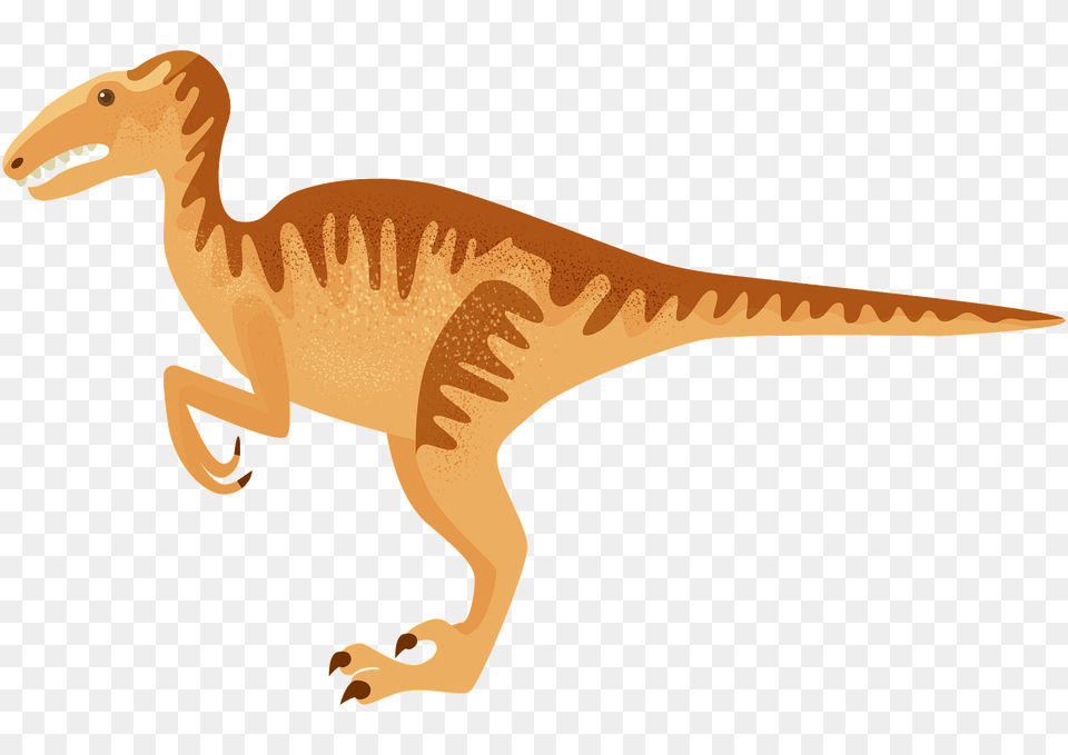 Velociraptor Clipart, Animal, Dinosaur, Reptile, T-rex Free Png