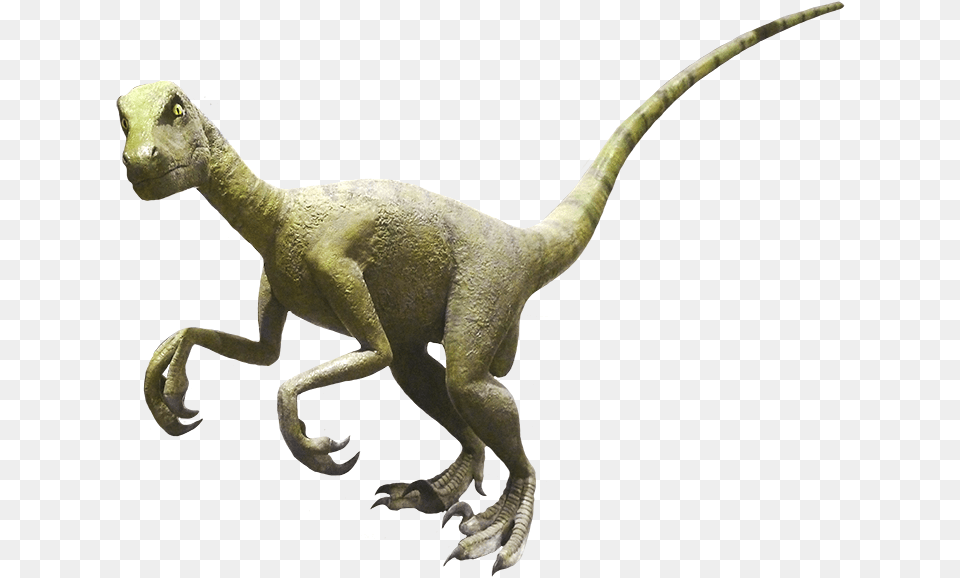 Velociraptor Clipart Real Dinosaur Clipart, Animal, Reptile, T-rex Free Png