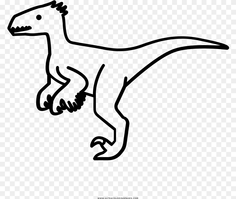 Velociraptor Coloring, Gray Free Transparent Png