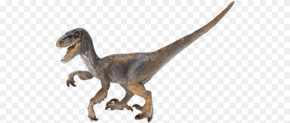 Velociraptor Cretaceous Period Dinosaurs, Animal, Dinosaur, Reptile, T-rex Free Transparent Png