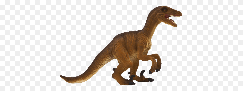 Velociraptor Crouching, Animal, Dinosaur, Reptile, T-rex Free Png