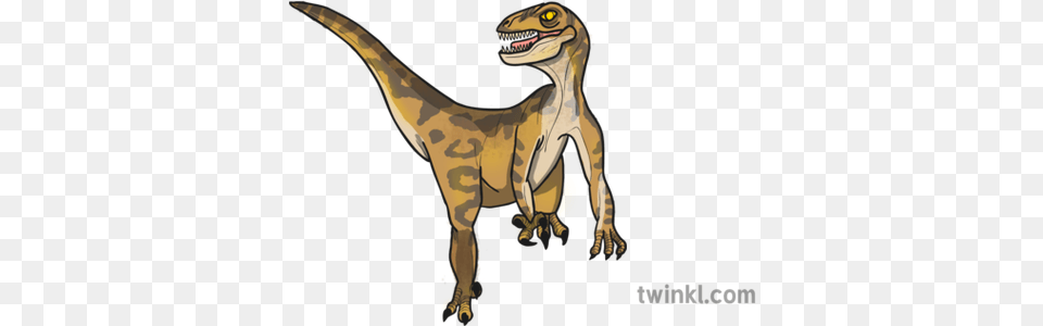 Velociraptor Dinosaur Illustration Twinkl Animal Figure, Reptile, T-rex Free Transparent Png