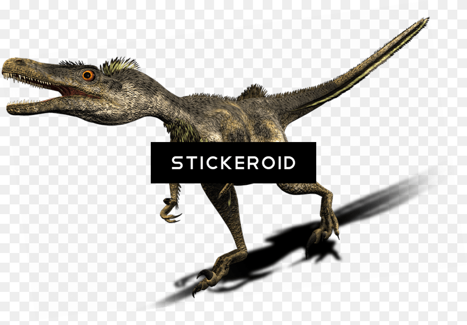 Velociraptor Image Dinosaur, Animal, Reptile, T-rex Png