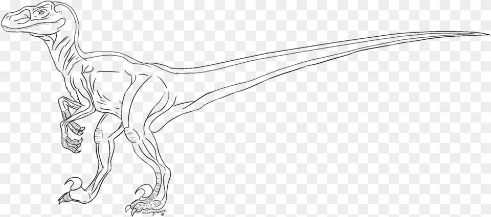 Velociraptor Lineart By Scourgelover14 Drawing, Gray Free Transparent Png