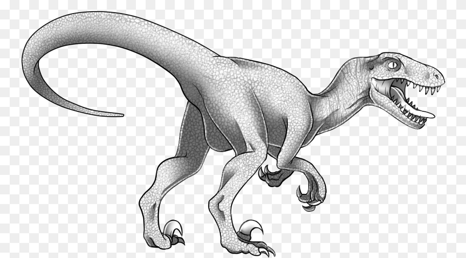 Velociraptor Premade By Maytitan Velociraptor, Animal, Dinosaur, Reptile, T-rex Png Image