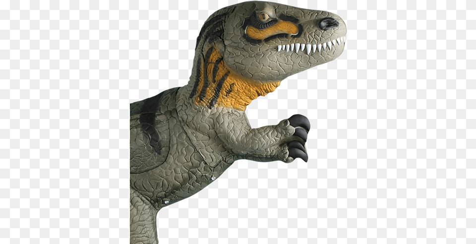 Velociraptor Rinehart Targets, Animal, Dinosaur, Reptile, T-rex Free Png