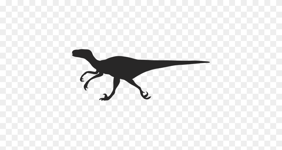 Velociraptor Silhouette, Animal, Dinosaur, Reptile, T-rex Png Image
