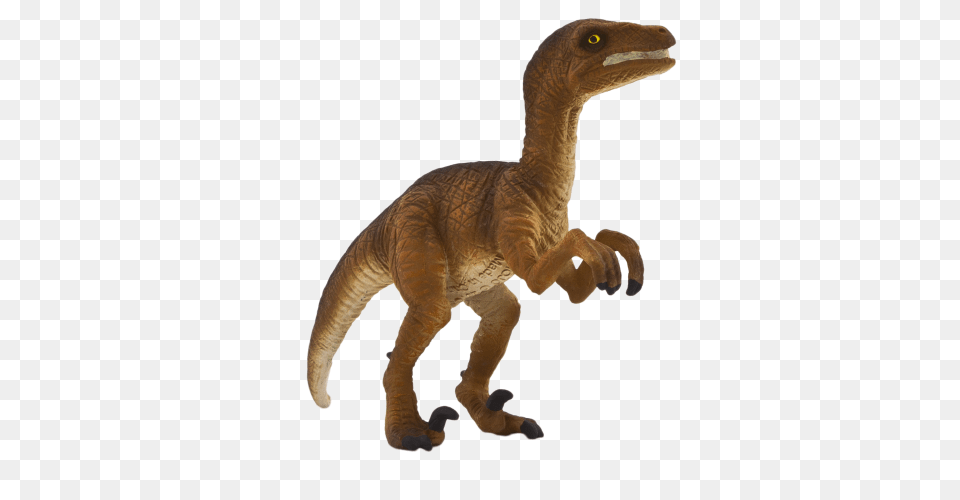 Velociraptor Standing, Animal, Dinosaur, Reptile, T-rex Free Png