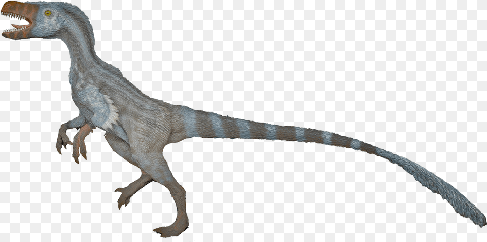 Velociraptor Images Velociraptor Clipart Background, Animal, Dinosaur, Reptile, T-rex Free Transparent Png