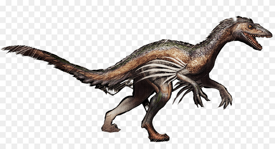 Velociraptor Troodon Survival Evolved Tyrannosaurus Ark Troodon, Animal, Dinosaur, Reptile, Bird Png