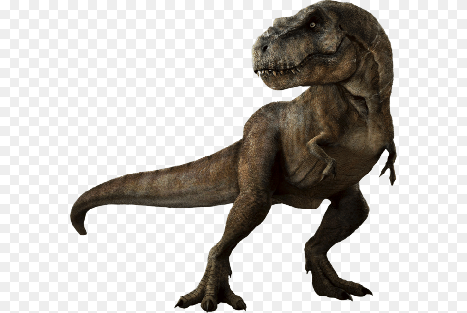 Velociraptor Tyrannosaurus Dinosaur Clip Art, Animal, Reptile, T-rex Free Png