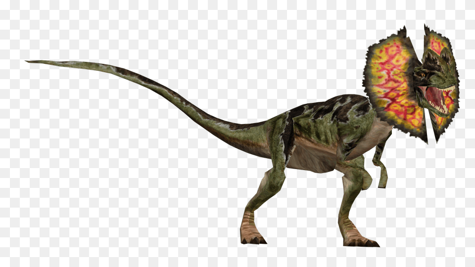 Velociraptor Tyrannosaurus Jurassic Park Operation Genesis, Animal, Dinosaur, Reptile, T-rex Free Transparent Png