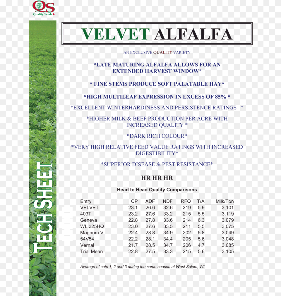 Velvet Alfalfa Alfalfa, Advertisement, Poster, Grass, Plant Free Transparent Png