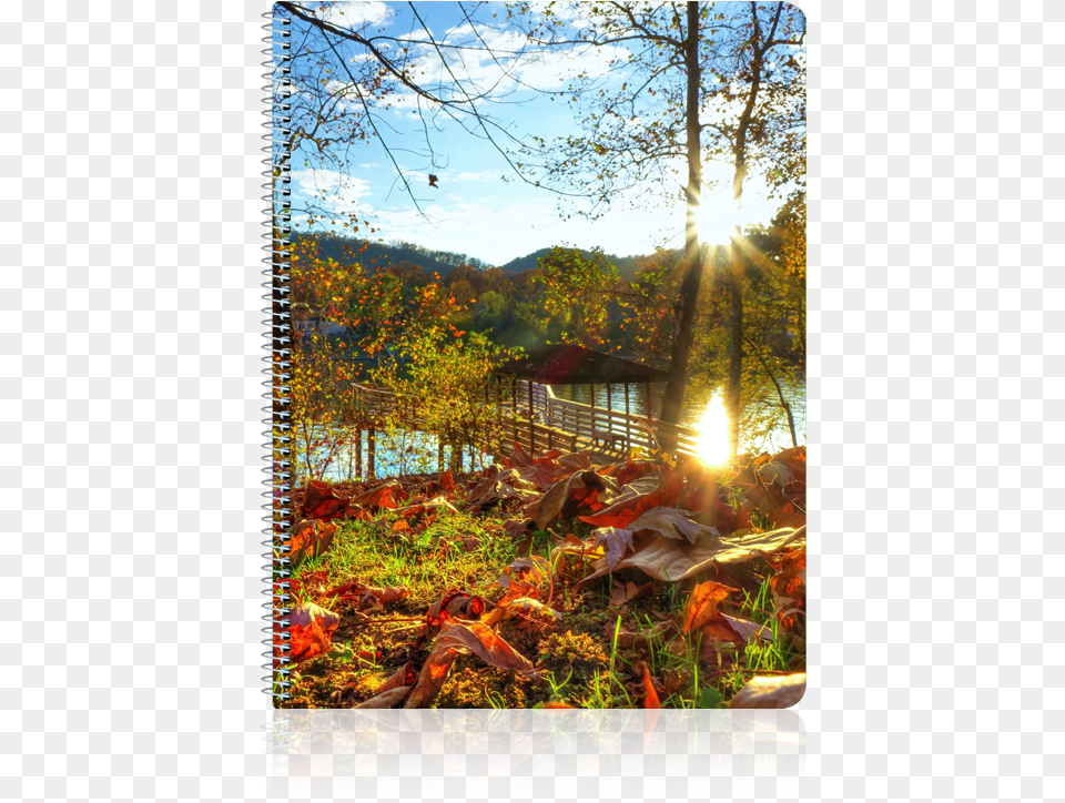 Venta Caliente Logotipo Impreso Barato Mini Cuaderno Painting, Flare, Vegetation, Tree, Sunlight Free Png