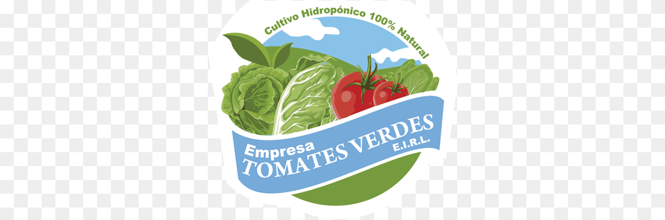 Venta De Frutas Y Verduras A Domicilio En Antofagasta Desevedavy, Food, Produce, Lettuce, Plant Png Image