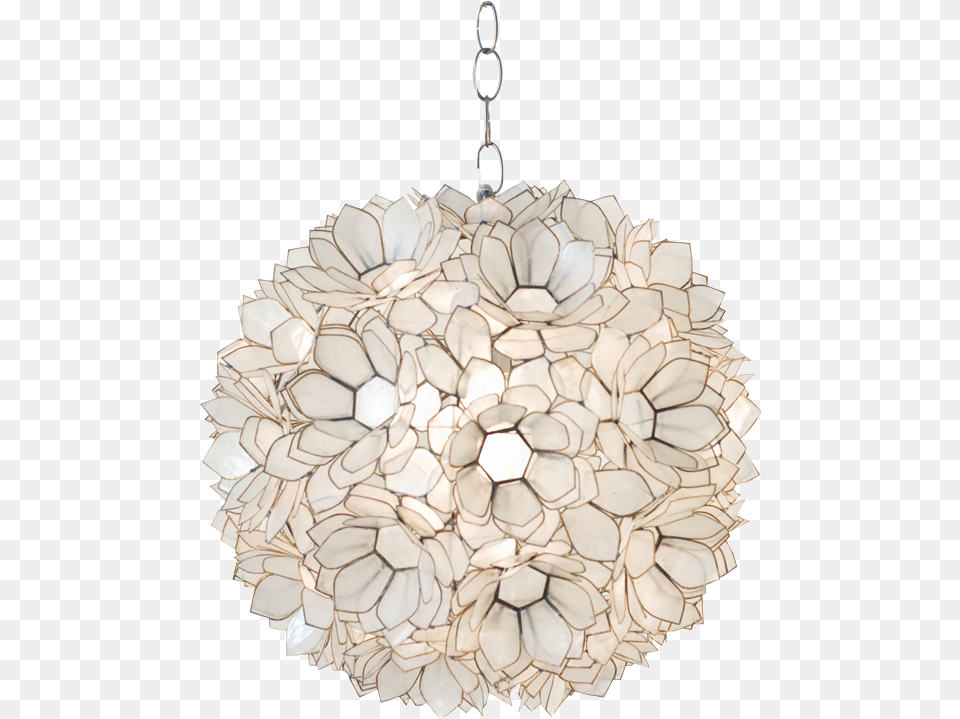 Venus Capiz Shell Pendant Light, Chandelier, Lamp Free Png