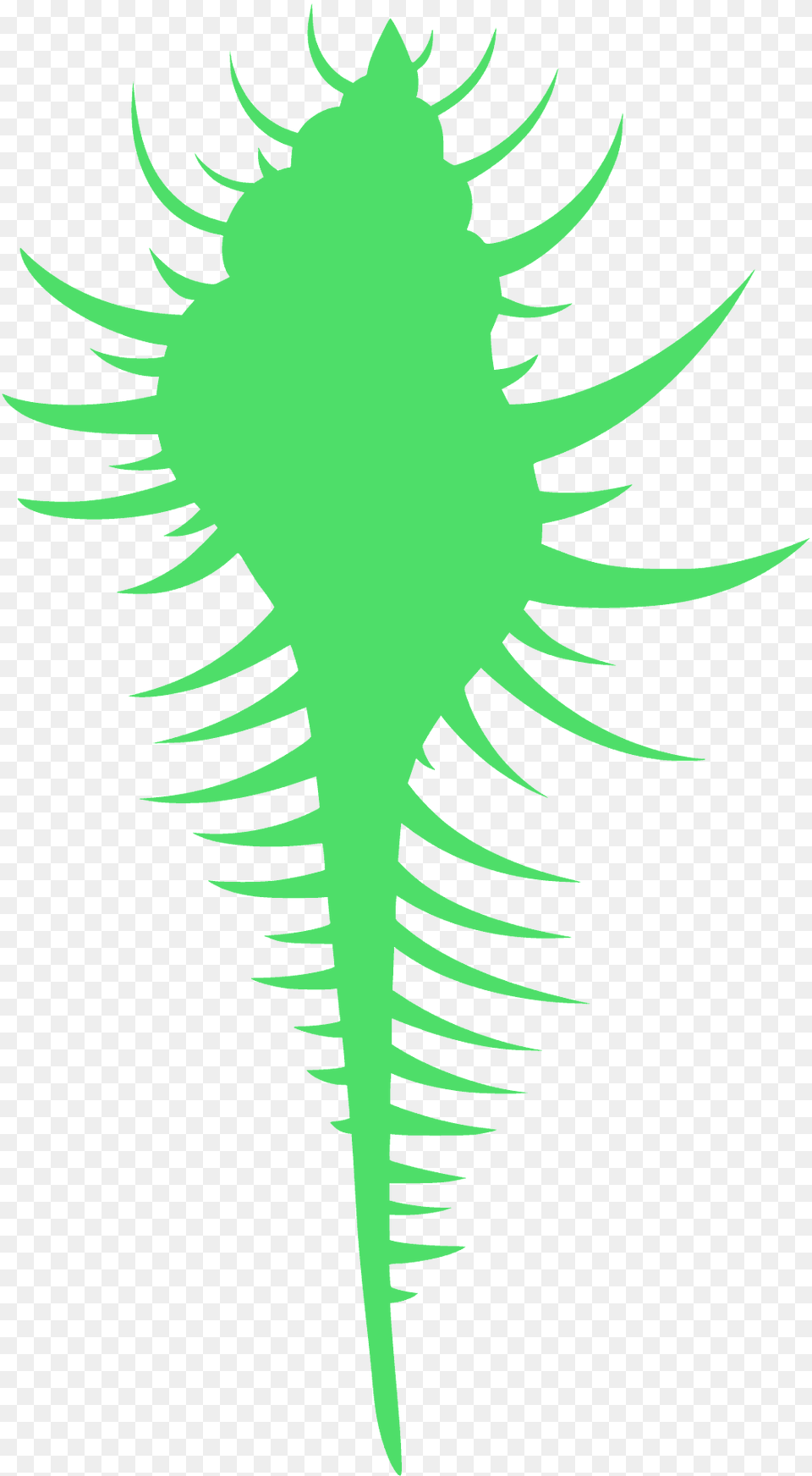 Venus Comb Murex Shell Silhouette, Animal, Sea Life Png Image