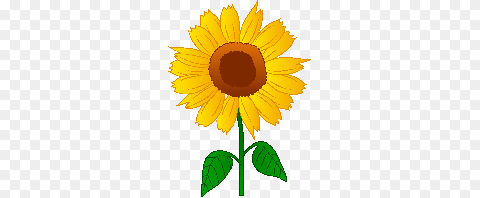 Venus Flytrap Cliparts, Flower, Plant, Sunflower, Daisy Png Image