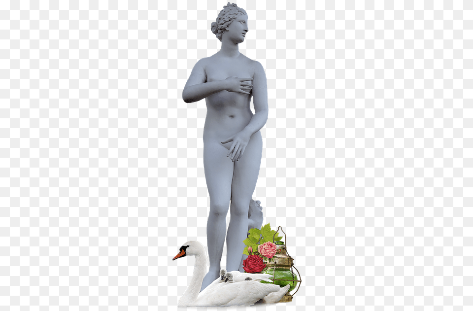 Venus Goddess Transparent, Flower Arrangement, Plant, Flower Bouquet, Flower Free Png Download