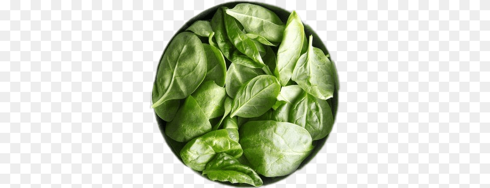 Verde Espinacas High Iron Foods, Food, Leafy Green Vegetable, Plant, Produce Png