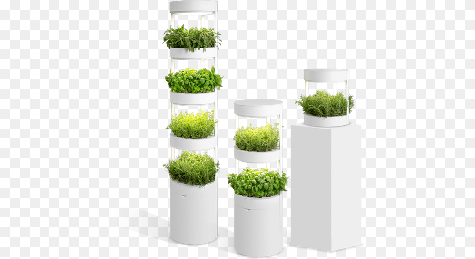 Verdeat Products In 3 Sizes Verdeat Kickstarter, Jar, Plant, Planter, Potted Plant Png Image