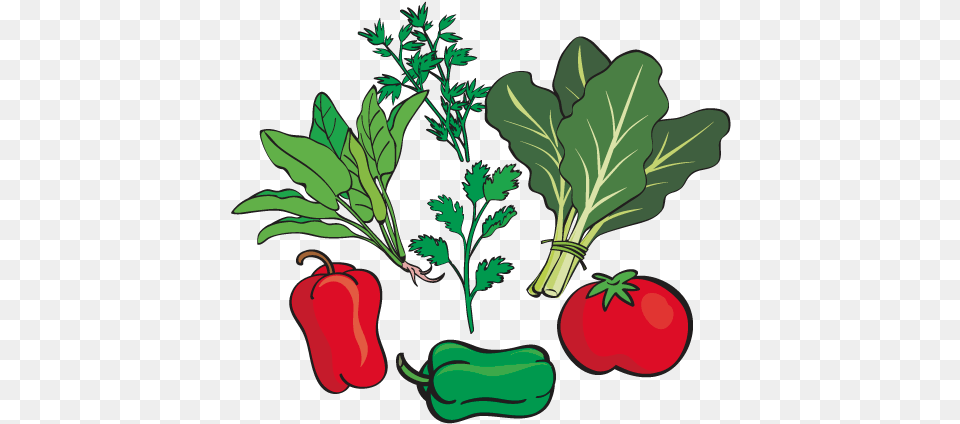 Verduras Como Espinacas Acelgas Kurat Perejil Red Bell Pepper, Food, Produce, Plant Png