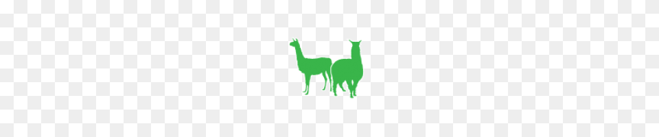 Verm X For Alpacas Llamas Verm X, Animal, Mammal, Llama Free Png Download