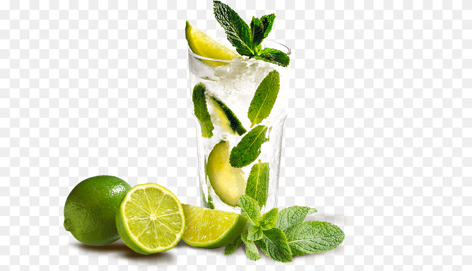 Verre Mojito Peppermint Essential Oil Organic 100 Pure Therapeutic, Alcohol, Plant, Mint, Lime Png