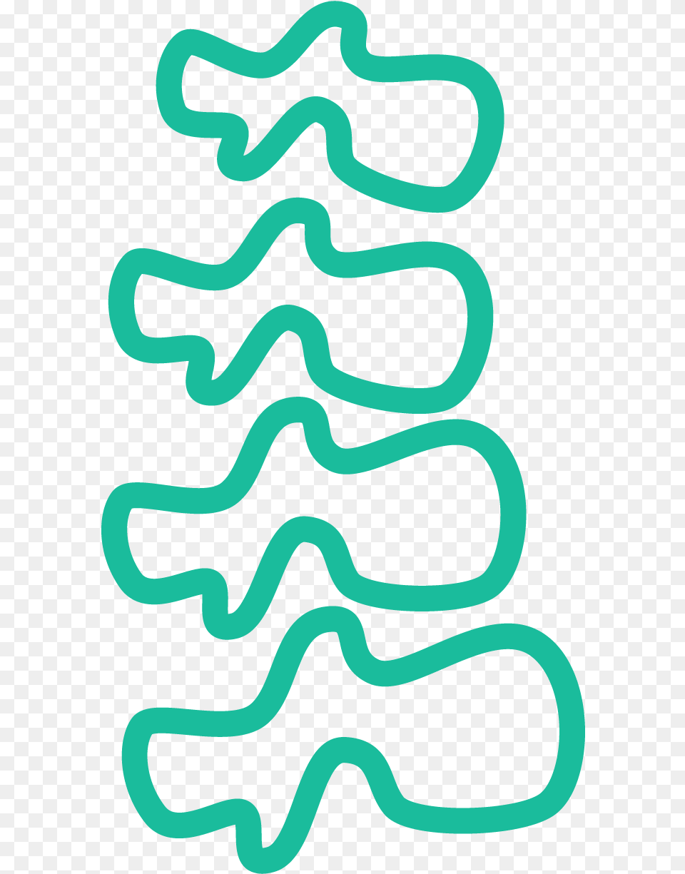 Vertebral Column, Light, Animal, Reptile, Snake Png Image