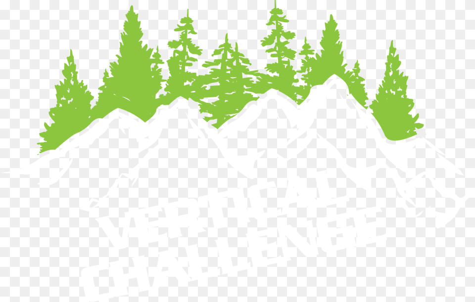 Vertical Challenge, Fir, Green, Tree, Plant Free Transparent Png