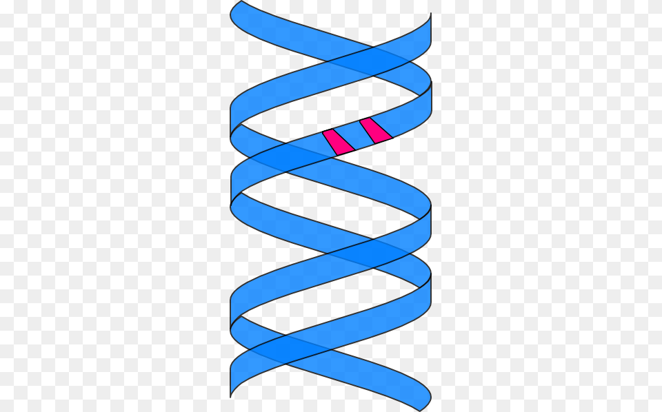 Vertical Double Helix Black Clip Art, Coil, Spiral Free Transparent Png